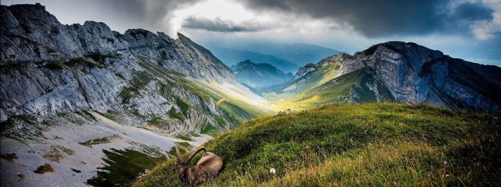 Nature Abstract Wallpapers \u00b7\u2460 