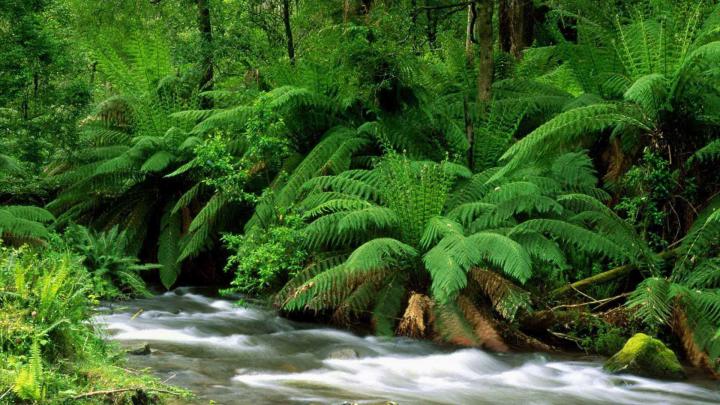 Nature Abstract Wallpapers \u00b7\u2460 