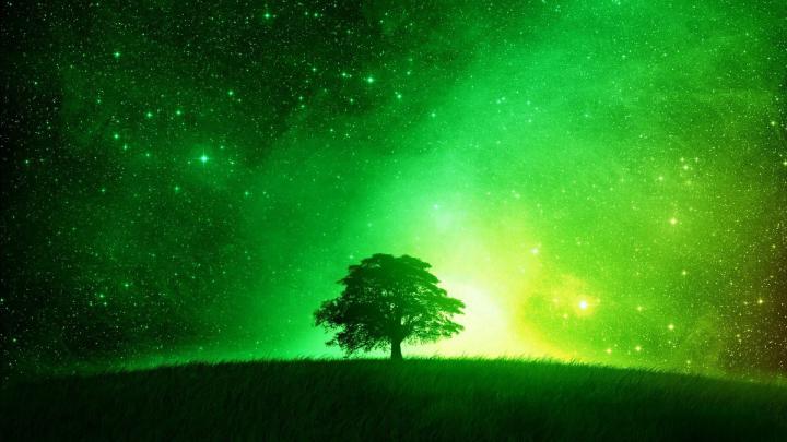 Neon Green HD Wallpaper (79+ images)