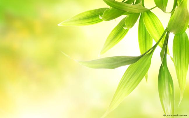 Nature Abstract Wallpapers (68+ background pictures)