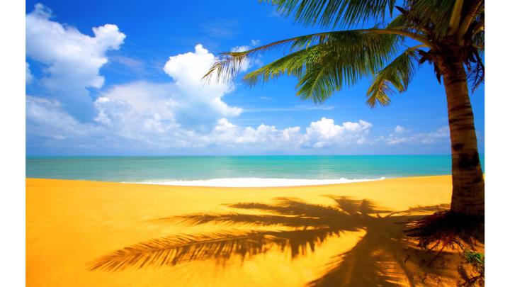 4K Nature PC Wallpapers - Top Free 4K Nature PC Backgrounds 