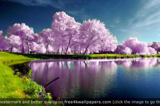 4K Nature PC Wallpapers - Top Free 4K Nature PC Backgrounds 