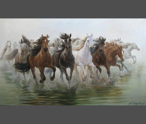 Vastu 7 Horse Hd Wallpapers 1920x1080