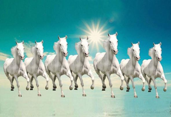 Horse Hd Wallpapers 1920x1080 - 4K Wallpaper Gallery