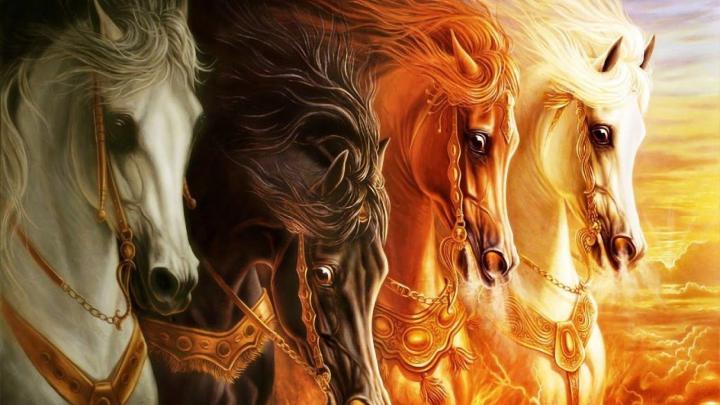 Seven Horses Wallpapers - Top Free Seven Horses Backgrounds 