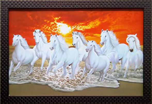 7 White Running Horse Hd Wallpaper - wallpaper