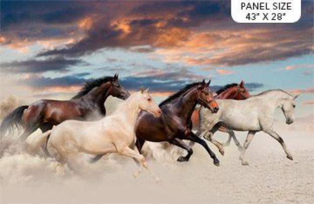 Vastu 7 Horse Hd Wallpapers 1920x1080