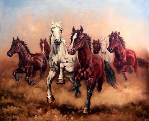 Lucky 7 Horse Wallpaper Hd