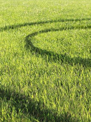 Free download Acer green field wallpaper 1920x1080 1080p Wallpaper 
