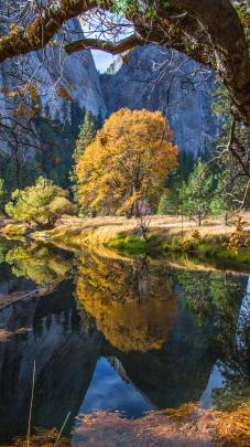 Wallpaper Yosemite, 5k, 4k wallpaper, 8k, forest, OSX, apple, mountains 