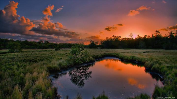 1920x1080 Nature Wallpaper -