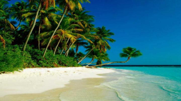 Free download HD Beach Wallpaper HD Wallpapers Backgrounds of Your 