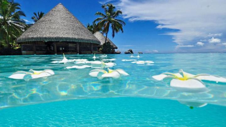 Free download 72 Beach Hd Wallpapers on WallpaperPlay [1920x1080] for 