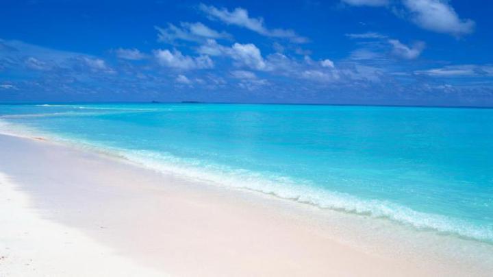 Free download Beach 1920x1080 Wallpaper High Definition High Quality 
