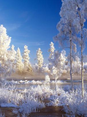 Free download HD Bing Winter Landscape Wallpaper [1920x1080] for your 