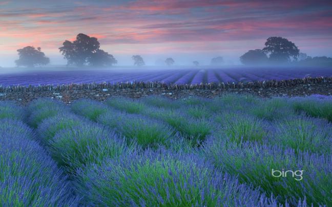 Free download Bing Themes grasslands plains widescreen HD wallpaper 