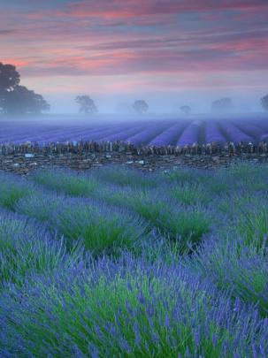 Free download Bing Themes grasslands plains widescreen HD wallpaper 