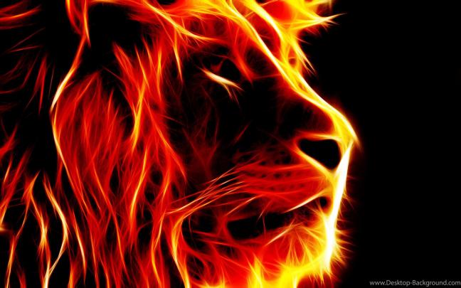 Reggae Lion Wallpaper (67+ images)