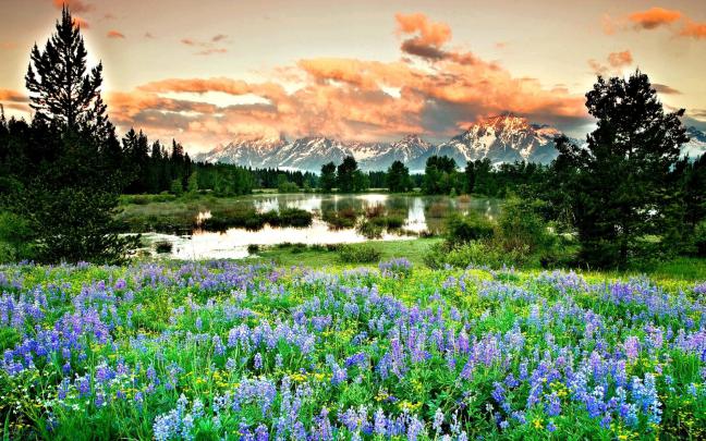 Free download High resolution Spring full hd 1920x1080 wallpaper 