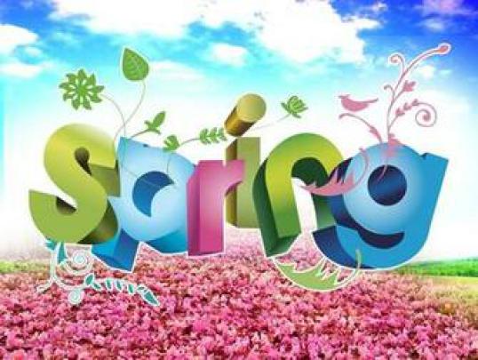 Free download High resolution Spring full hd 1920x1080 wallpaper 