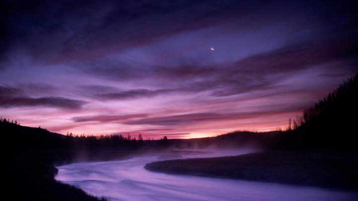 HD Nature Wallpaper, Download Wallpaper, Plant, Best Nature Photos 