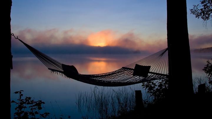 Download Wallpaper, Organic Life, Fresh Air, Best Nature Photos 