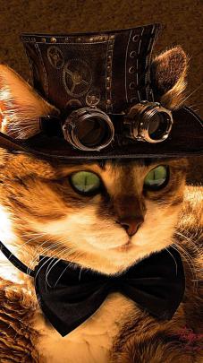Steampunk Cat Phone Wallpapers - Top Free Steampunk Cat Phone 
