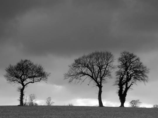 Grey Wallpaper HD -