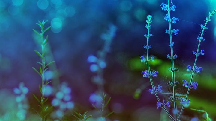 Blue theme Wallpaper (68+ images)
