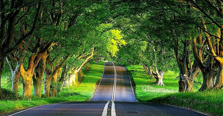 Live Nature Wallpapers Free Download | Free Hd Wallpapers