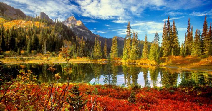 18++ Nature Wallpaper 1920x1080 4k - Basty Wallpaper