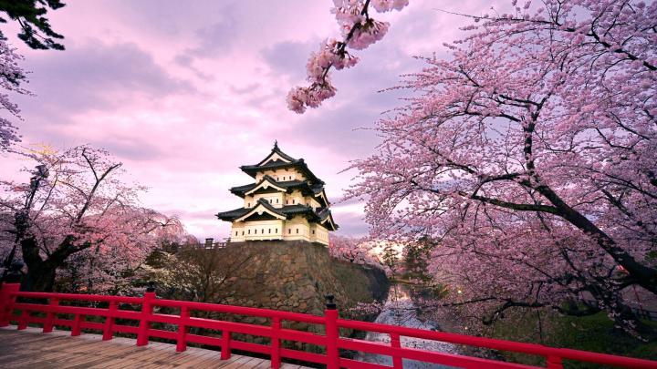 Spring in Japan Wallpapers - Top Free Spring in Japan Backgrounds 