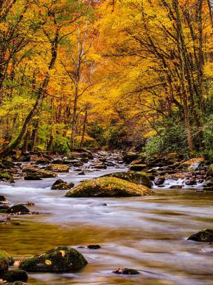 Cute Nature Wallpapers - 4k, HD Cute Nature Backgrounds on WallpaperBat