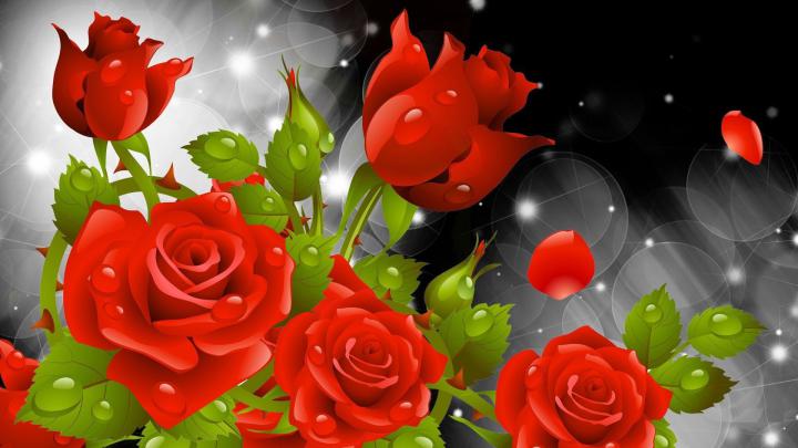 Hd Flower Wallpapers 1080P \/ Full Hd Flowers Wallpapers Wallpaper Cave 