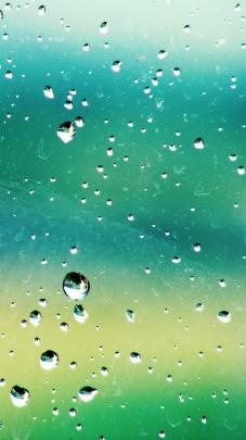 Spring Rain Wallpapers on WallpaperDog