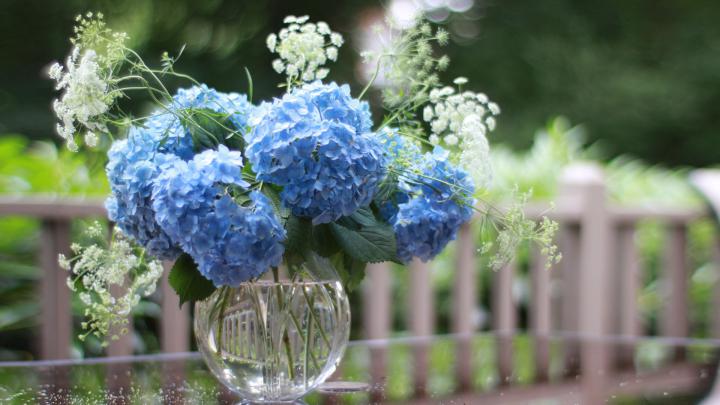 High Resolution Hd Flower Wallpapers 1080P - 1080p Resolution 