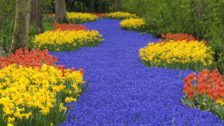 1920X1080 HD Garden Wallpaper -