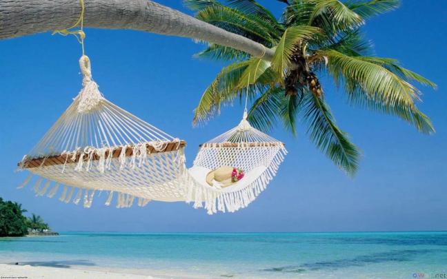 Summer Scene Wallpaper \u00b7\u2460 