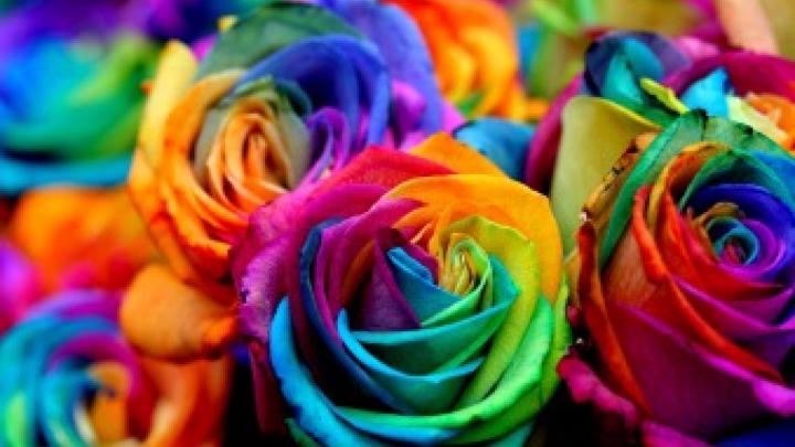 27++ Free Spring Wallpaper 1920x1080 - Basty Wallpaper
