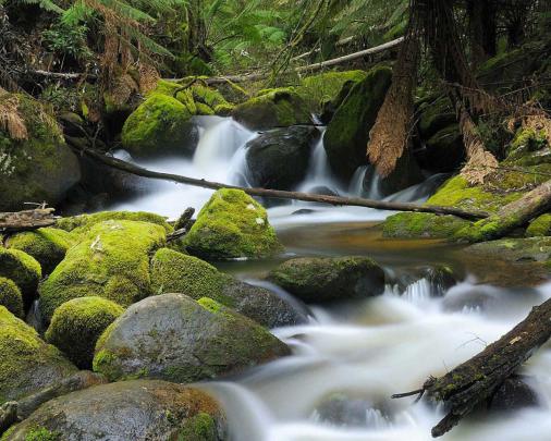 Free download HD Wallpapers 1920x1080 Nature Landscape Wallpapers 