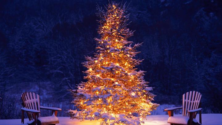 Christmas Tree wallpapers 1920x1080 Full HD (1080p) desktop backgrounds