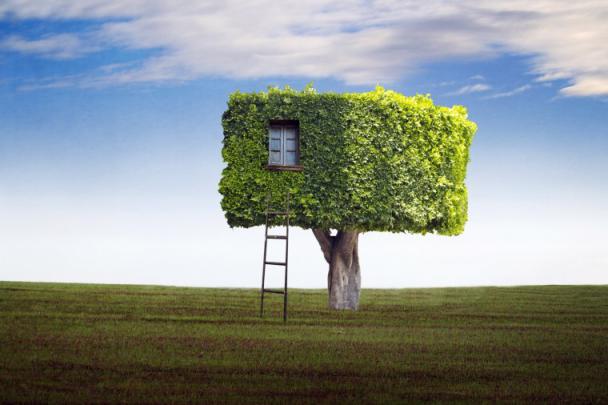 HD Tree (51 images) - DodoWallpaper.