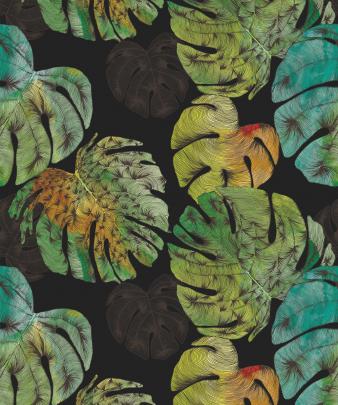 Monstera Wallpapers - Top Free Monstera Backgrounds - WallpaperAccess