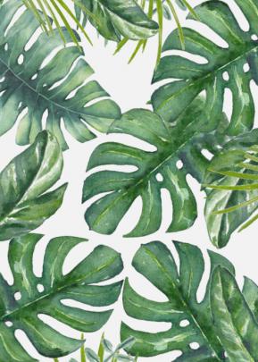 Download This Wallpaper Features Monstera Leaves In - \u041c\u043e\u043d\u0441\u0442\u0435\u0440\u0430 \u041e\u0431\u043e\u0438 On 