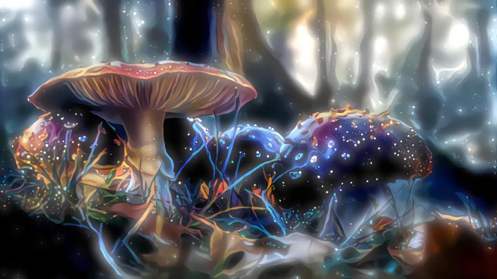 Mushroom Aesthetic Wallpapers