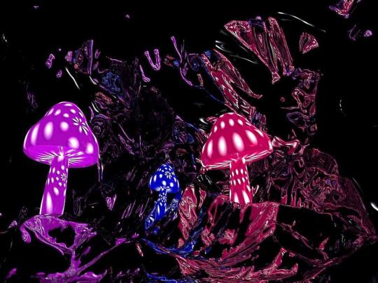 Mushroom Aesthetic Wallpapers