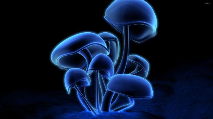 Free download 57 3D Mushroom Wallpapers on WallpaperPlay [2560x1440 
