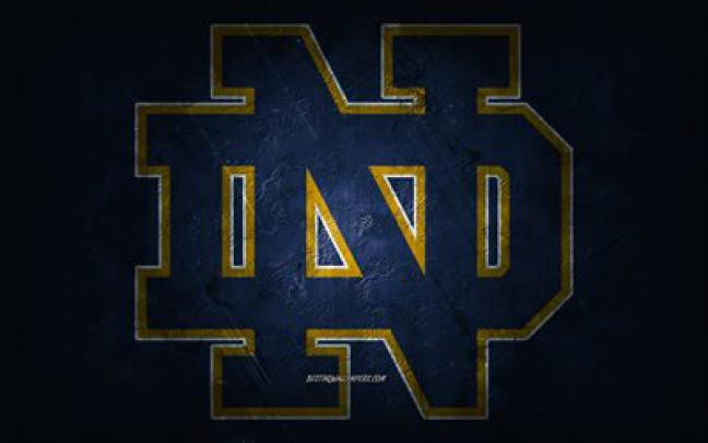 Download wallpapers Notre Dame Fighting Irish, American football team 