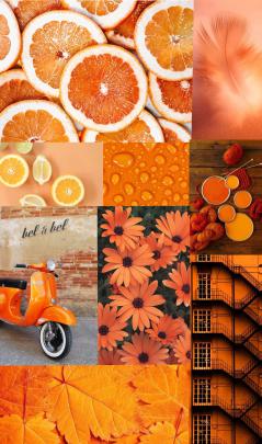 #orange #aesthetic #collage #fruits #flowers #stairs #motorbike 