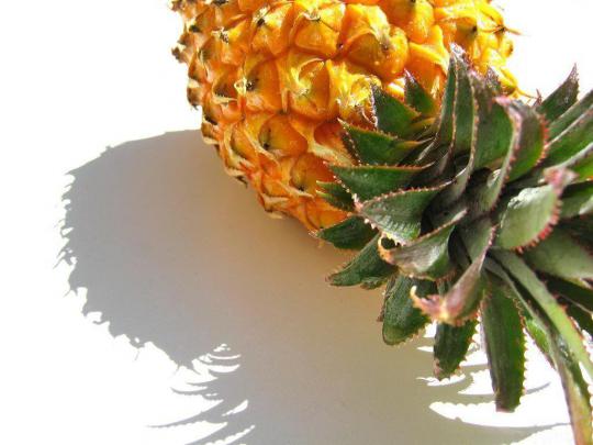 Pineapple Wallpapers